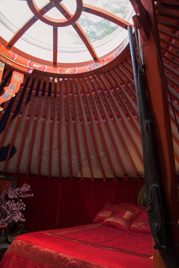 Crazy Lounge Bnb ไอเกิล ภายนอก รูปภาพ